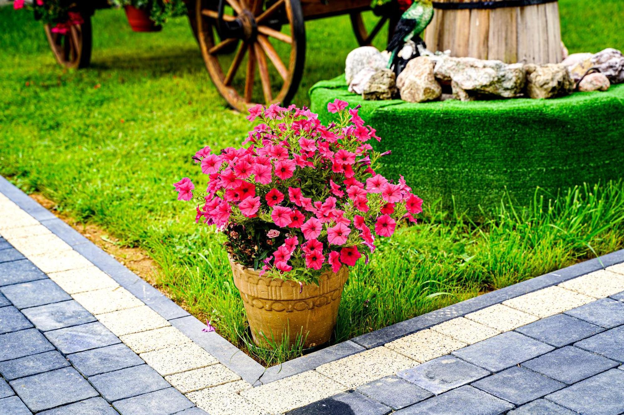 Gosciniec Kukulka Z Jacuzzi Bed & Breakfast Zakopane Dış mekan fotoğraf